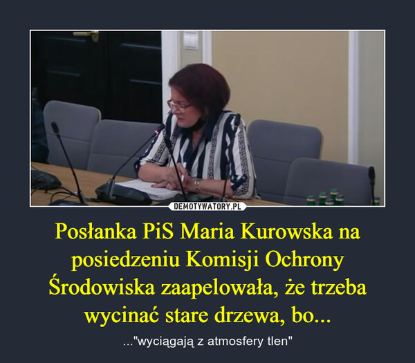Posłanka PiS Maria Kurowska na posiedzeniu Komisji Ochrony Środowiska zaapelowała, że trzeba wycinać stare drzewa, bo...