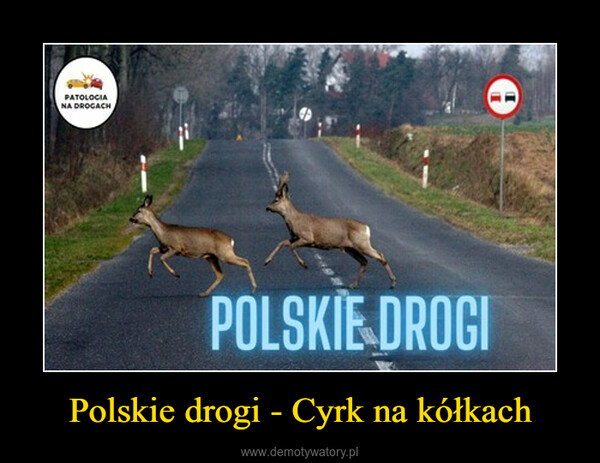 Polskie drogi - Cyrk na kółkach –  