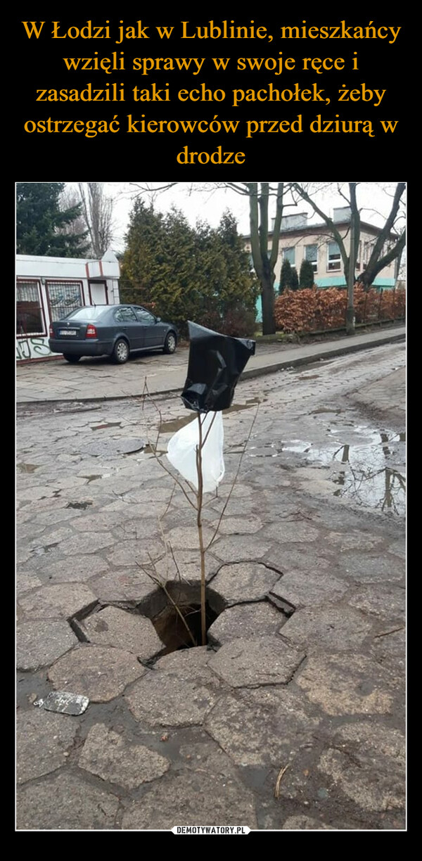 W Łodzi jak w Lublinie, mieszkańcy wzięli sprawy w swoje ręce i zasadzili taki echo pachołek, żeby ostrzegać kierowców przed dziurą w drodze