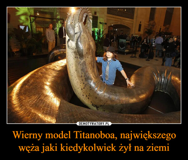 Wierny model Titanoboa, największego węża jaki kiedykolwiek żył na ziemi –  