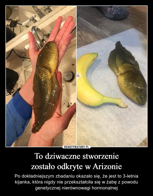 To dziwaczne stworzenie
zostało odkryte w Arizonie
