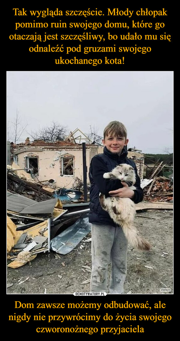 Tak wygląda szczęście. Młody chłopak pomimo ruin swojego domu, które go otaczają jest szczęśliwy, bo udało mu się odnaleźć pod gruzami swojego ukochanego kota! Dom zawsze możemy odbudować, ale nigdy nie przywrócimy do życia swojego czworonożnego przyjaciela