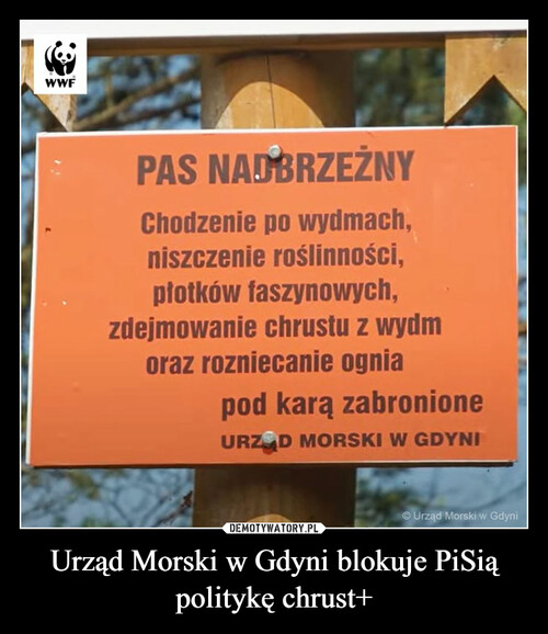 Urząd Morski w Gdyni blokuje PiSią politykę chrust+