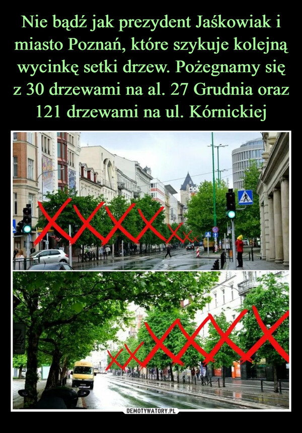 Nie bądź jak prezydent Jaśkowiak i miasto Poznań, które szykuje kolejną wycinkę setki drzew. Pożegnamy się z 30 drzewami na al. 27 Grudnia oraz 121 drzewami na ul. Kórnickiej