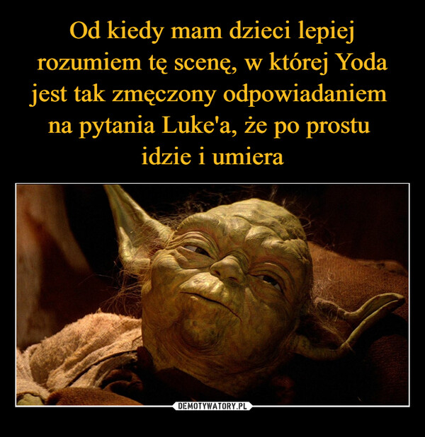 Od kiedy mam dzieci lepiej rozumiem tę scenę, w której Yoda jest tak zmęczony odpowiadaniem 
na pytania Luke'a, że po prostu 
idzie i umiera