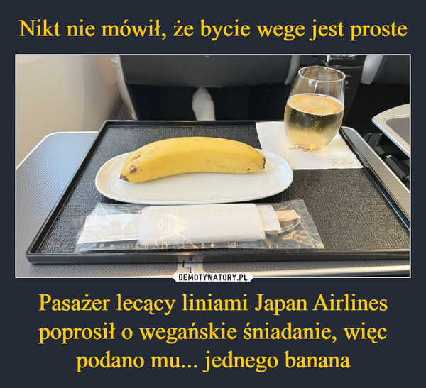 Pasażer lecący liniami Japan Airlines poprosił o wegańskie śniadanie, więc podano mu... jednego banana –  