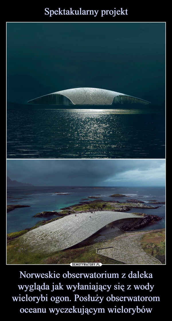 Spektakularny projekt Norweskie obserwatorium z daleka wygląda jak wyłaniający się z wody wielorybi ogon. Posłuży obserwatorom oceanu wyczekującym wielorybów