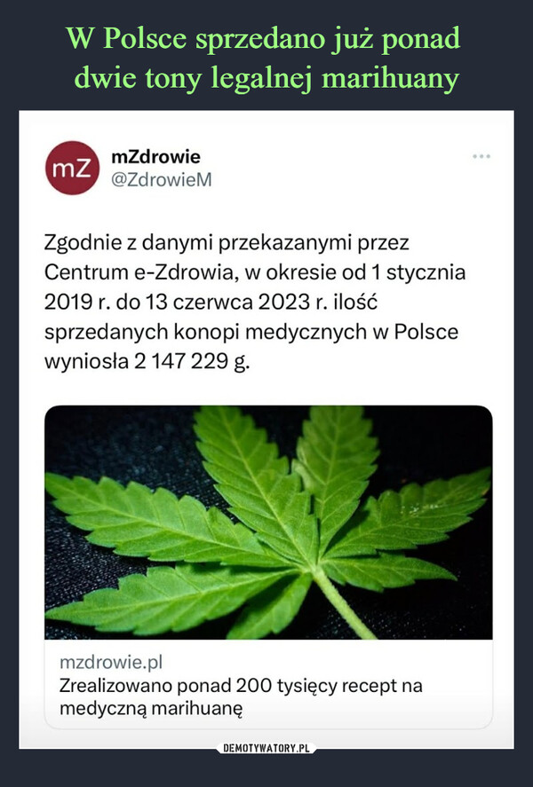 W Polsce sprzedano już ponad 
dwie tony legalnej marihuany