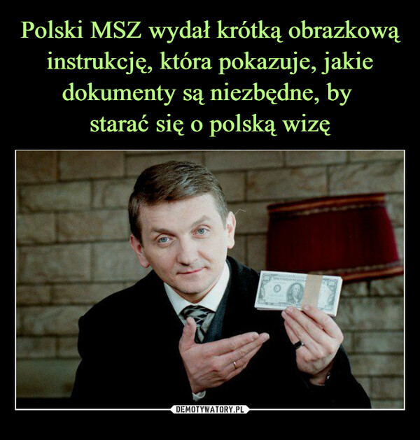Polski MSZ wydał krótką obrazkową instrukcję, która pokazuje, jakie dokumenty są niezbędne, by 
starać się o polską wizę