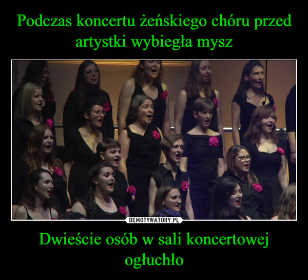 Podczas koncertu żeńskiego chóru przed artystki wybiegła mysz Dwieście osób w sali koncertowej ogłuchło