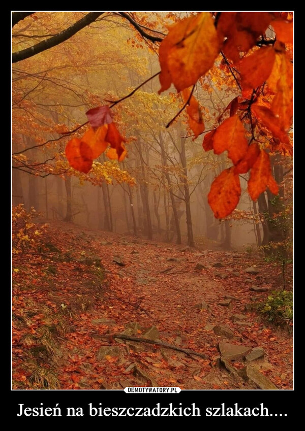 Jesień na bieszczadzkich szlakach.... –  