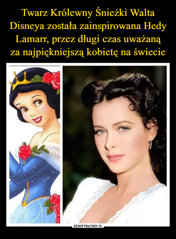 Twarz Królewny Śnieżki Walta Disneya została zainspirowana Hedy Lamarr, przez długi czas uważaną
za najpiękniejszą kobietę na świecie