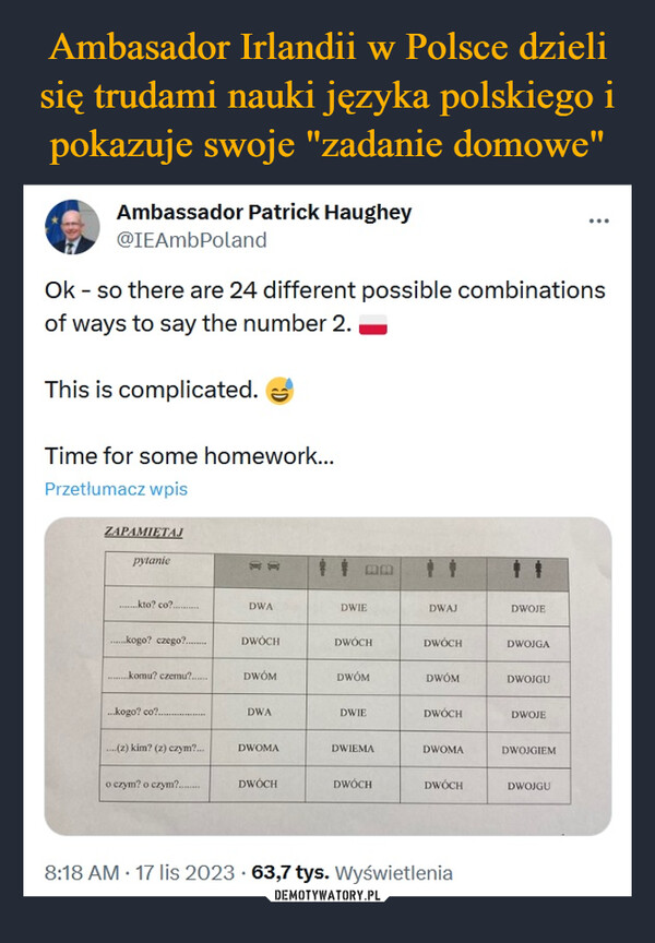 Ambasador Irlandii w Polsce dzieli się trudami nauki języka polskiego i pokazuje swoje "zadanie domowe"