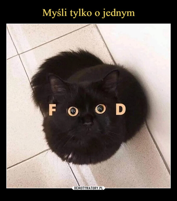  –  FOOD