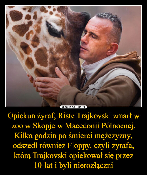 Opiekun żyraf, Riste Trajkovski zmarł w zoo w Skopje w Macedonii Północnej. Kilka godzin po śmierci mężczyzny, odszedł również Floppy, czyli żyrafa, którą Trajkovski opiekował się przez 10-lat i byli nierozłączni –  