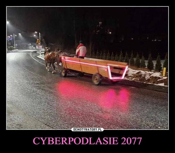 CYBERPODLASIE 2077 –  
