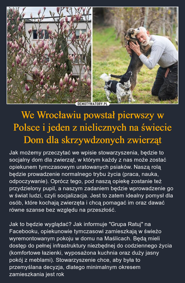 We Wrocławiu powstał pierwszy w Polsce i jeden z nielicznych na świecie Dom dla skrzywdzonych zwierząt