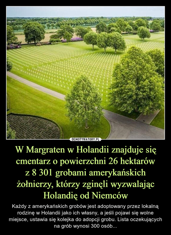 W Margraten w Holandii znajduje się cmentarz o powierzchni 26 hektarów
z 8 301 grobami amerykańskich żołnierzy, którzy zginęli wyzwalając Holandię od Niemców